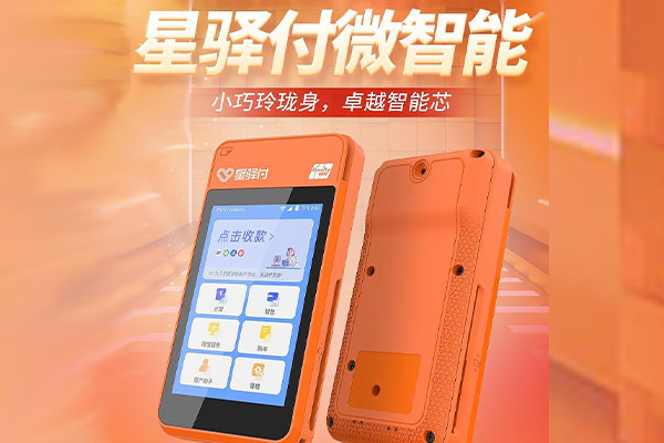 定西国通微电签POS机